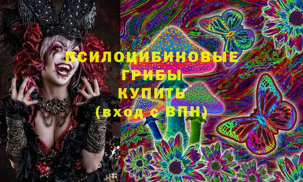 скорость Пересвет
