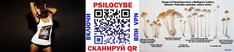 Галлюциногенные грибы ЛСД  ссылка на мегу онион  Холм 