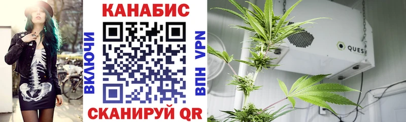 дарнет шоп  Холм  Шишки марихуана OG Kush 